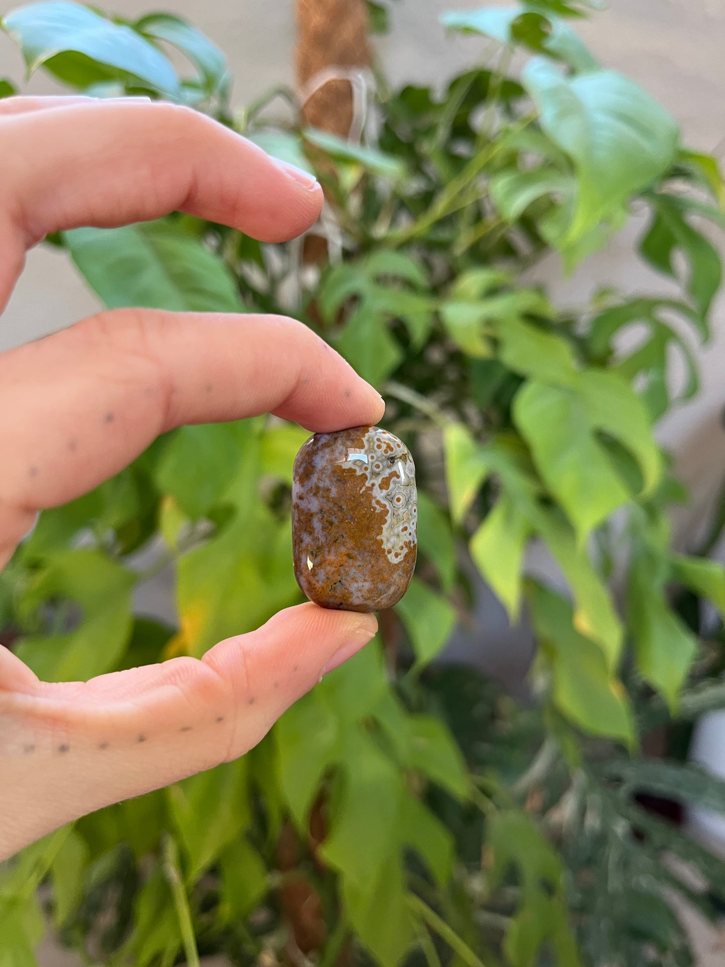 Ozeanjaspis Trommelstein gebohrt – Gelassenheit & Natürlichkeit