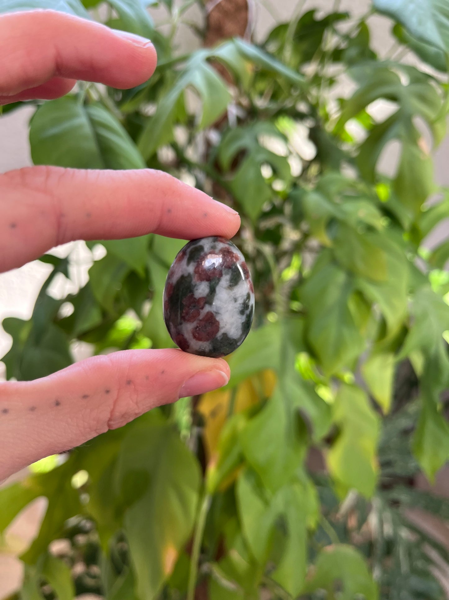 Eklogit Trommelstein gebohrt – Ausdruck & Erdung