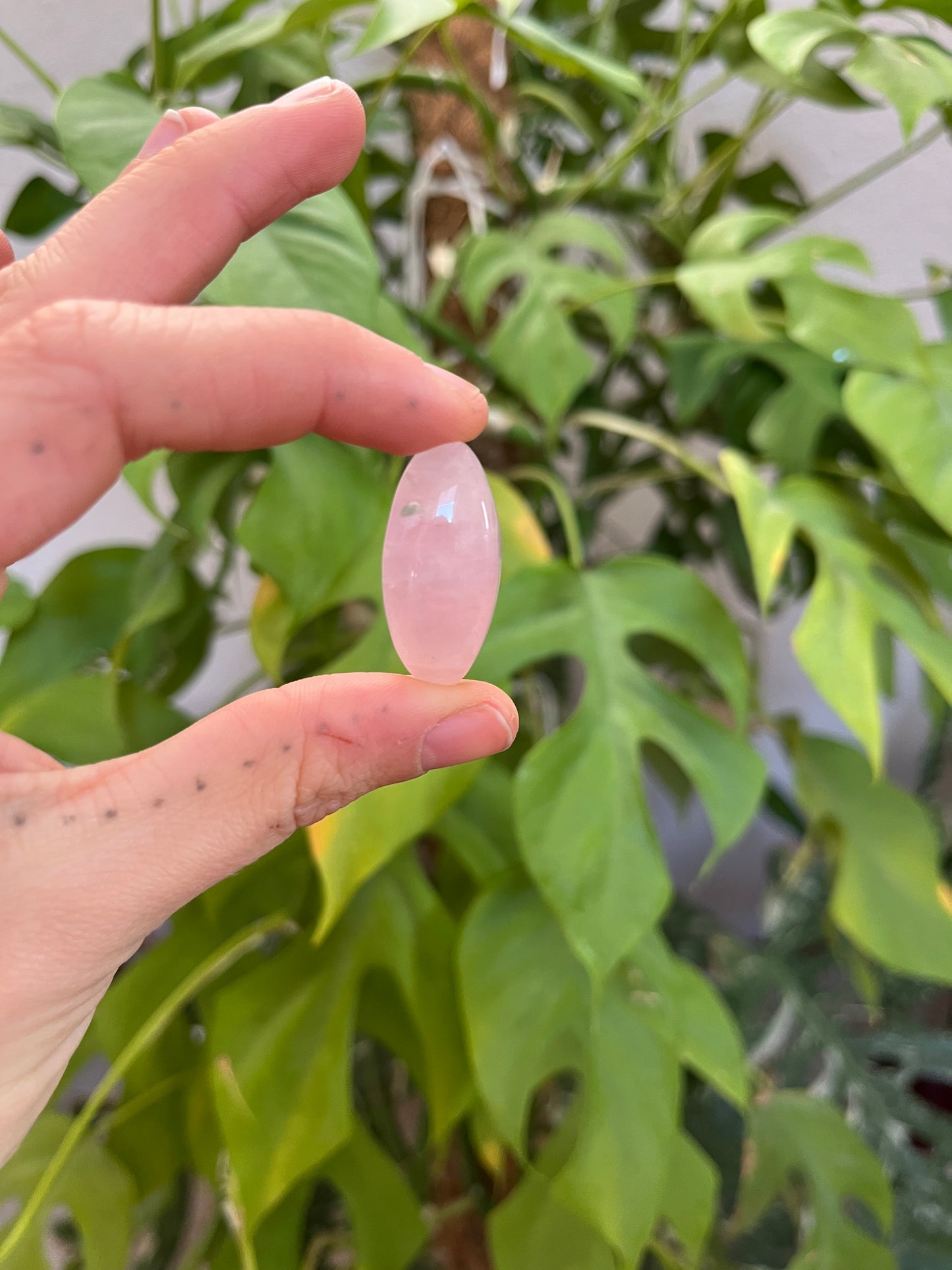 Rosenquarz Navette gebohrt – Sanftheit & Harmonie