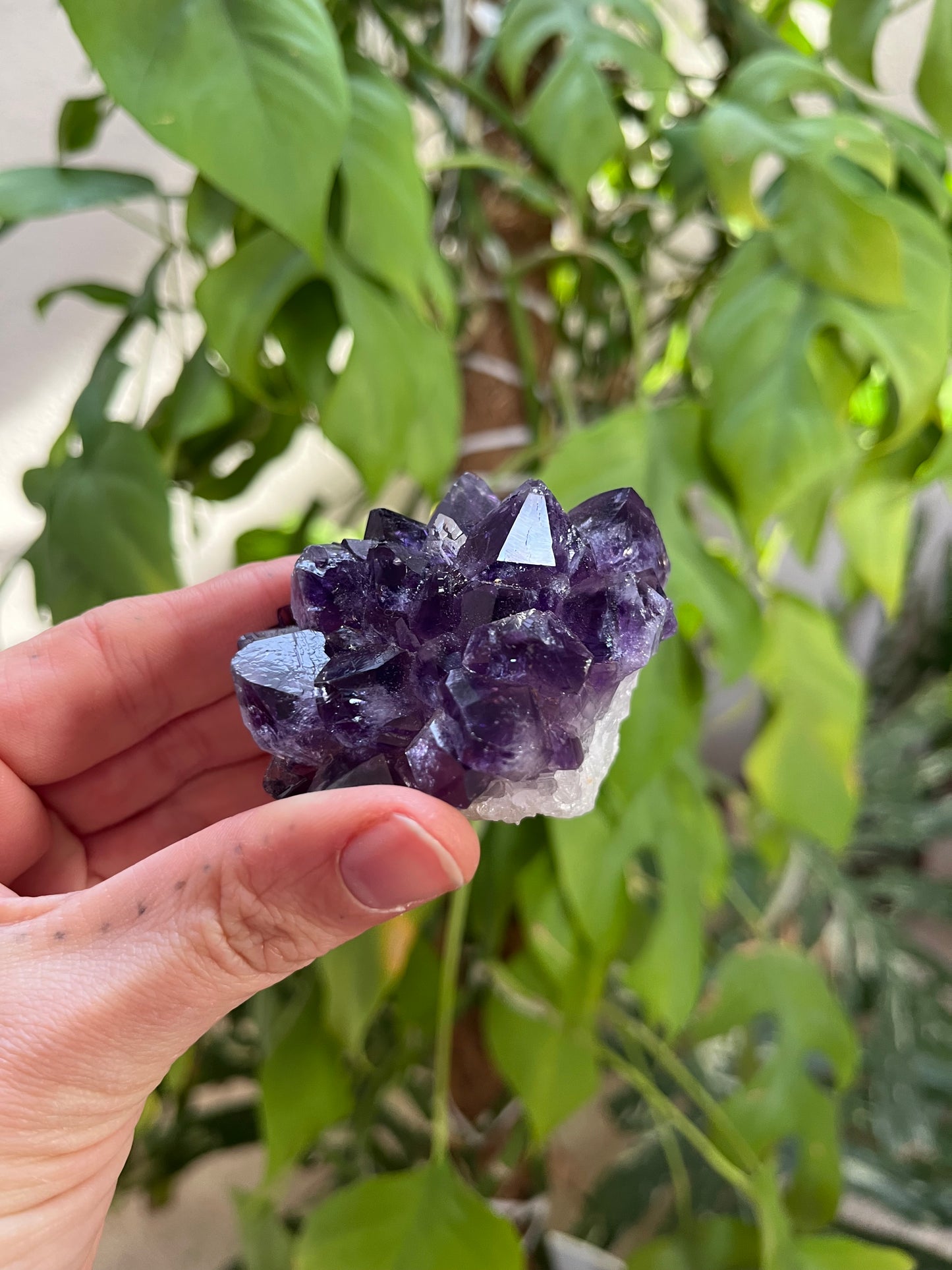 Amethyst Rohstein AAA Qualität – intensiv & naturbelassen