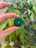 Malachit Donut 3 cm – Wandel & Ausdruck
