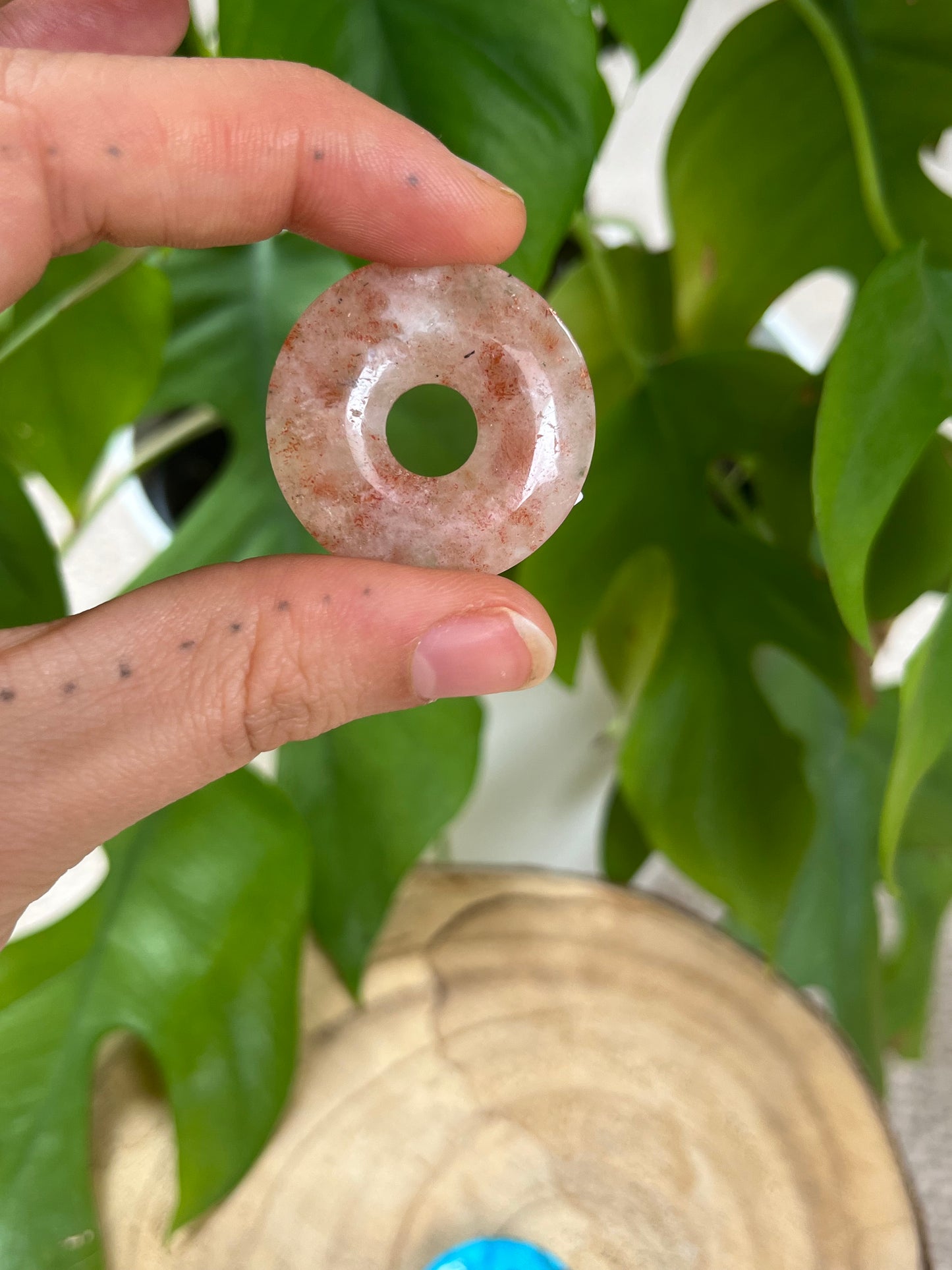 Donuts 3cm