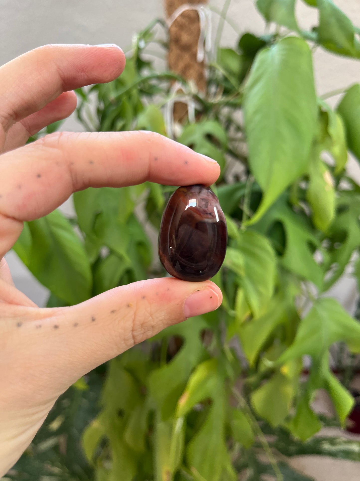 Versteinertes Holz gebohrter Trommelstein – Naturstein Anhänger Erdung & Ruhe
