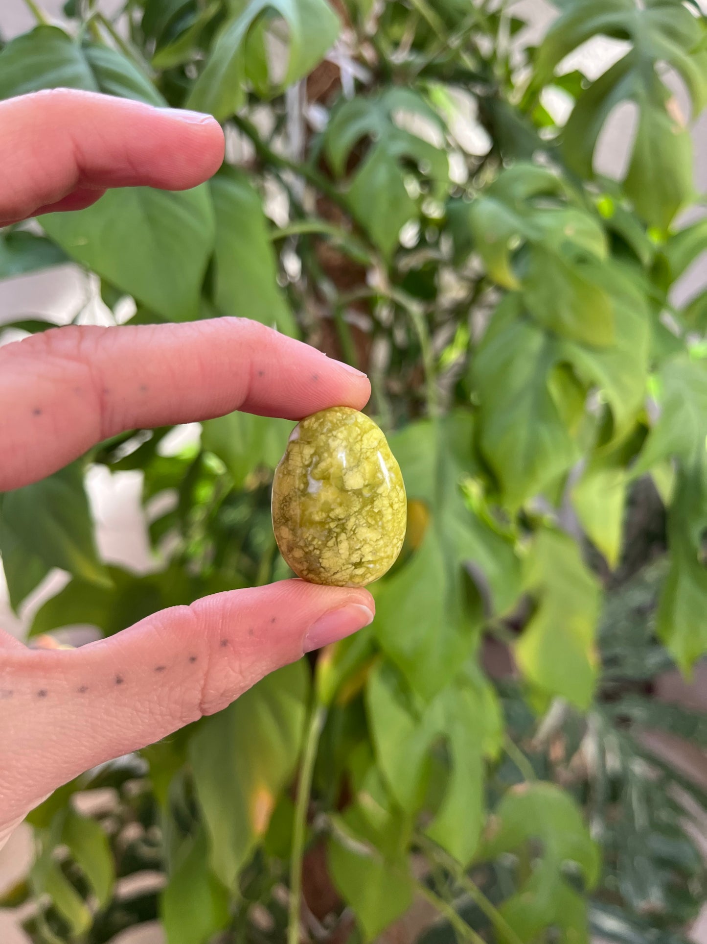 Lizardit Trommelstein gebohrt – Ruhe & Erdung