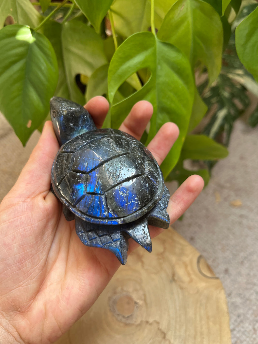 Labradorit Schildkröte XL