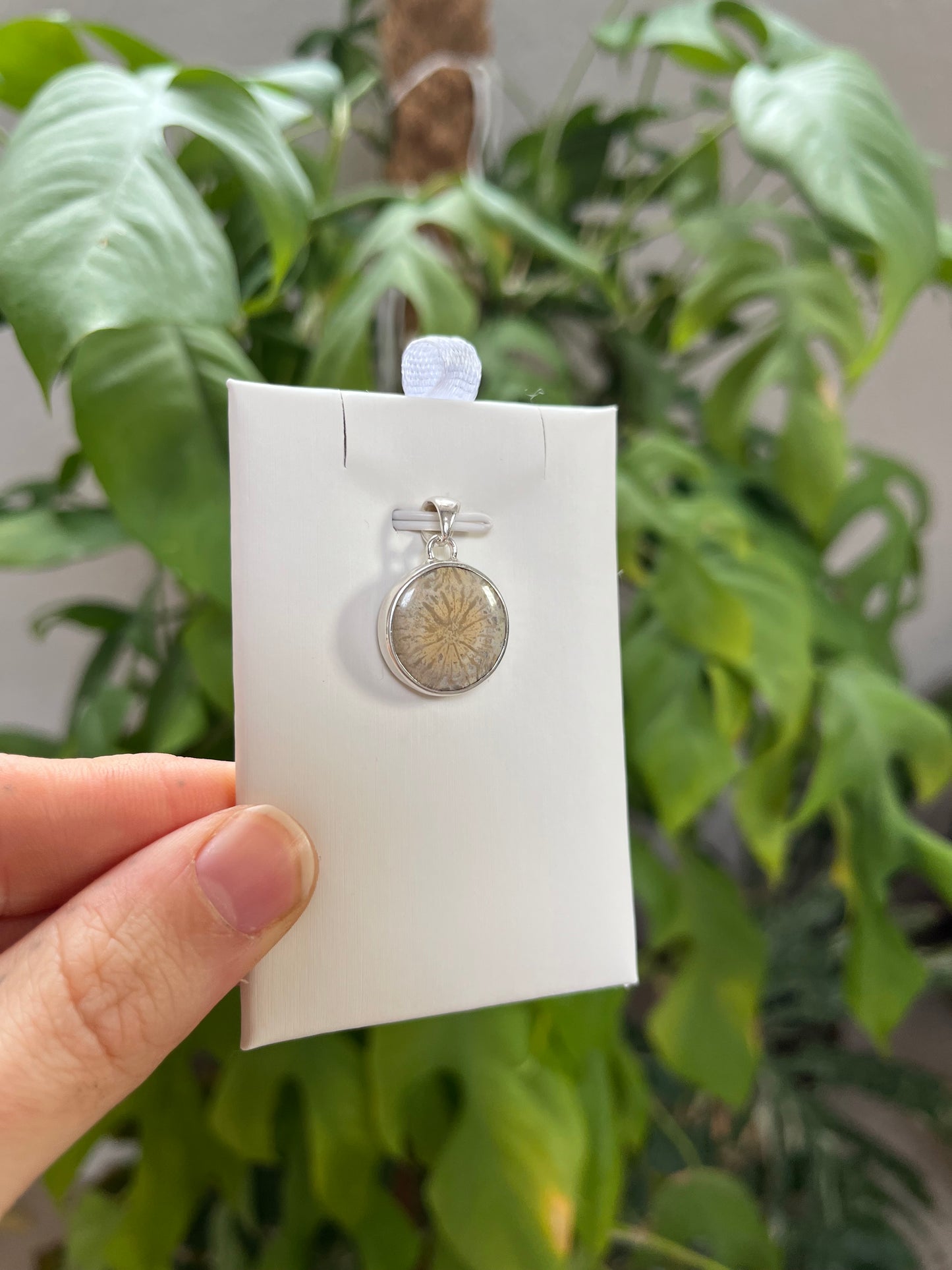 Versteinerte Koralle Anhänger rund gefasst 925 Silber – Fossiler Naturstein Schmuck