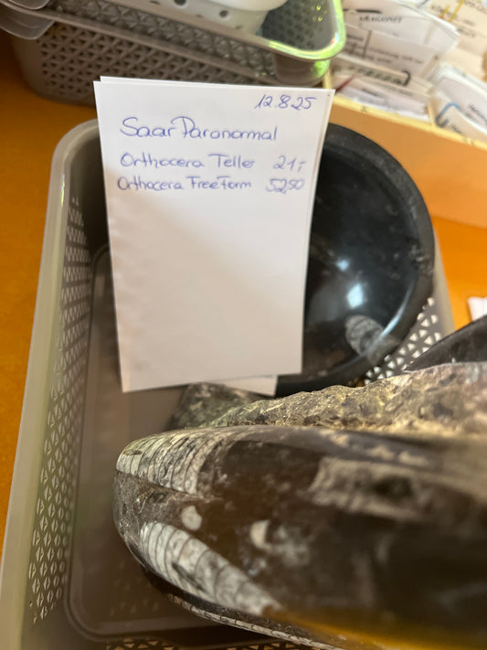 SaarParanormal Live Sale 12.08