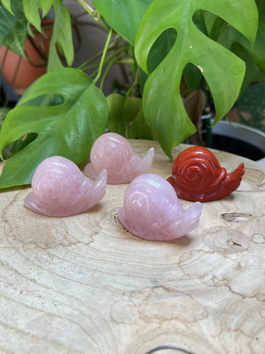 Schnecken Gravur – Rosenquarz oder Roter Jaspis – Liebe, Erdung & Wandel