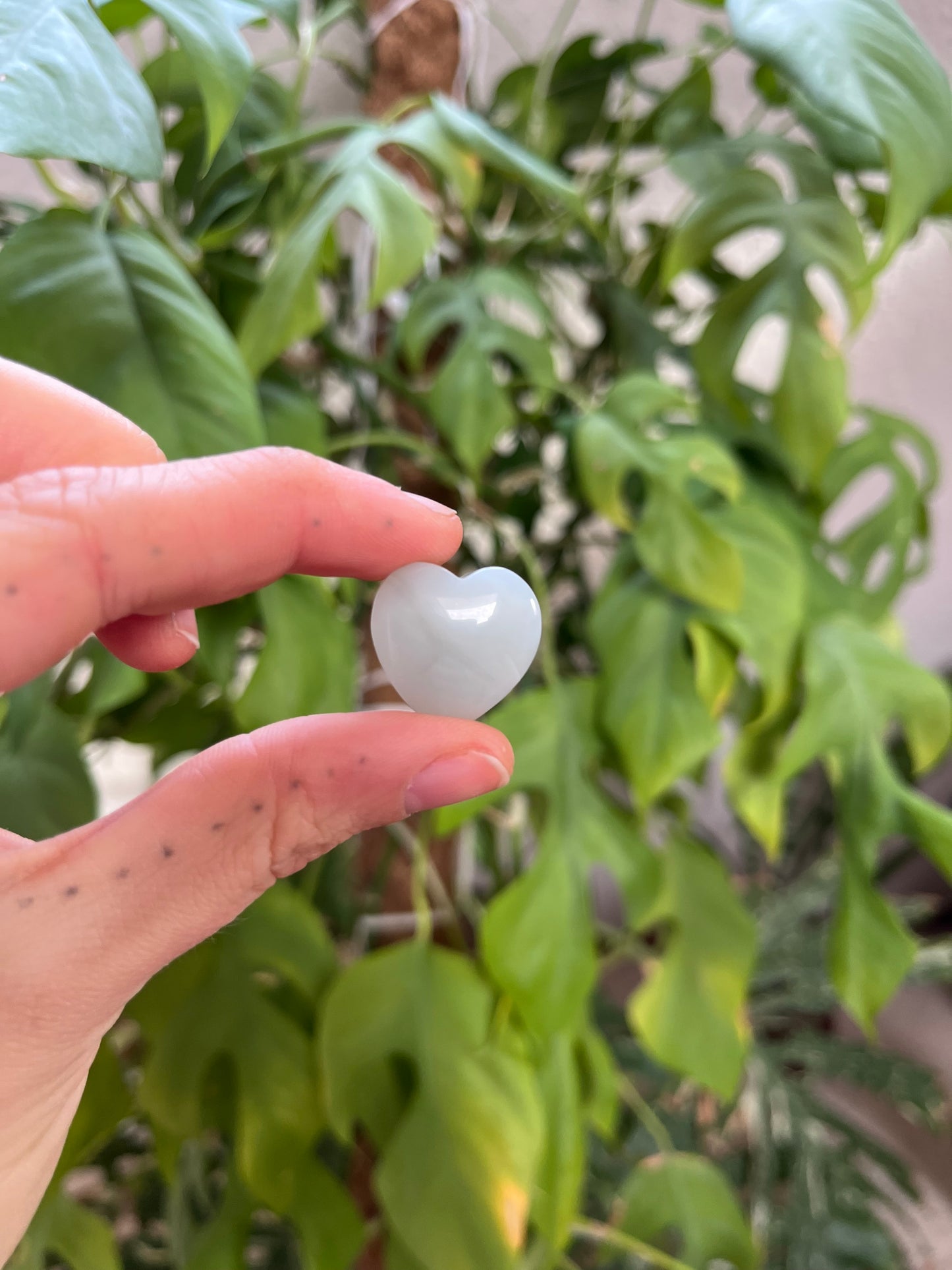 Mondstein Herz hell gebohrt AA Qualität