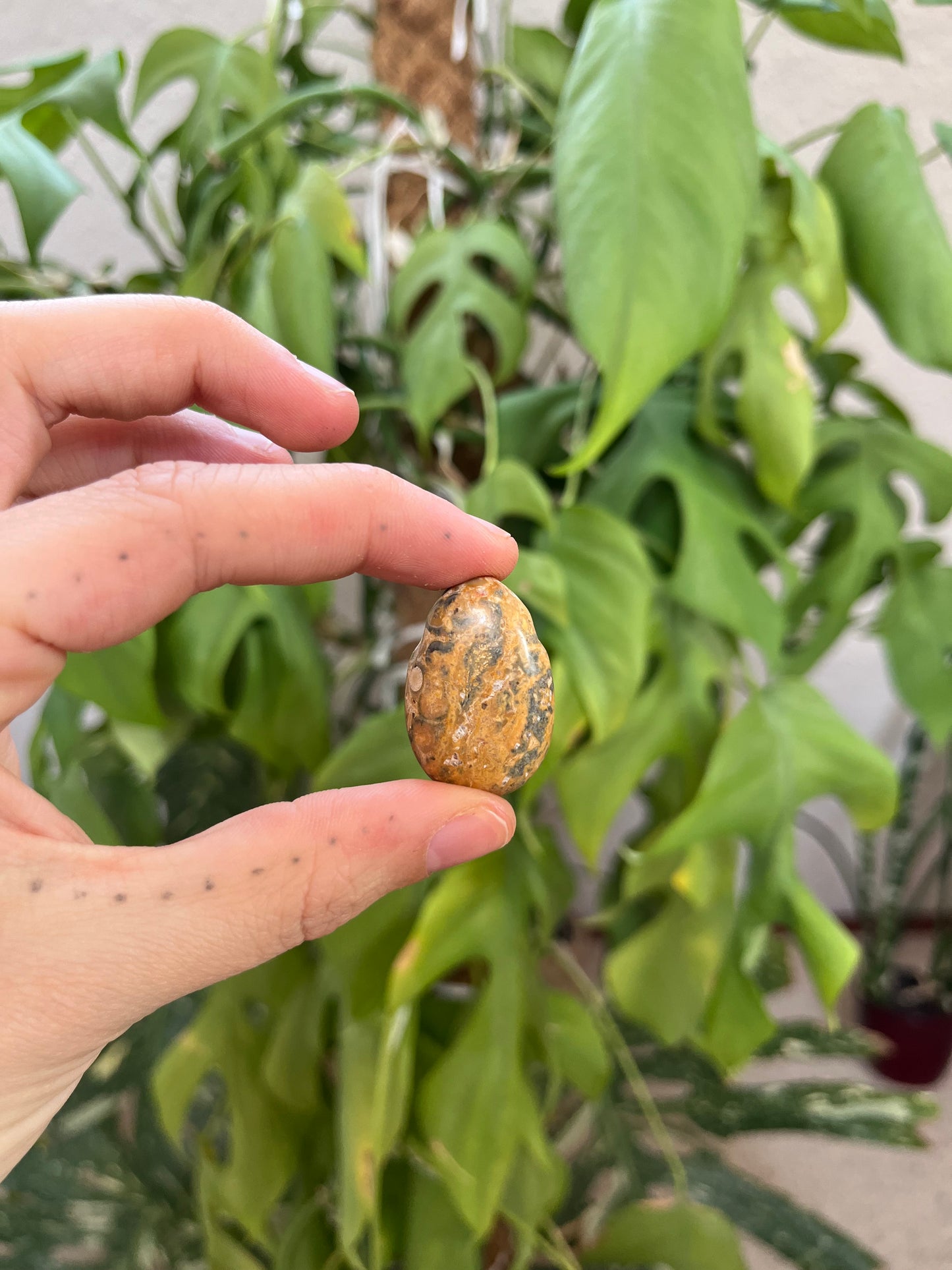 Leoparden Jaspis gelb Trommelstein gebohrt – Naturstein Anhänger Erdung & Kraft