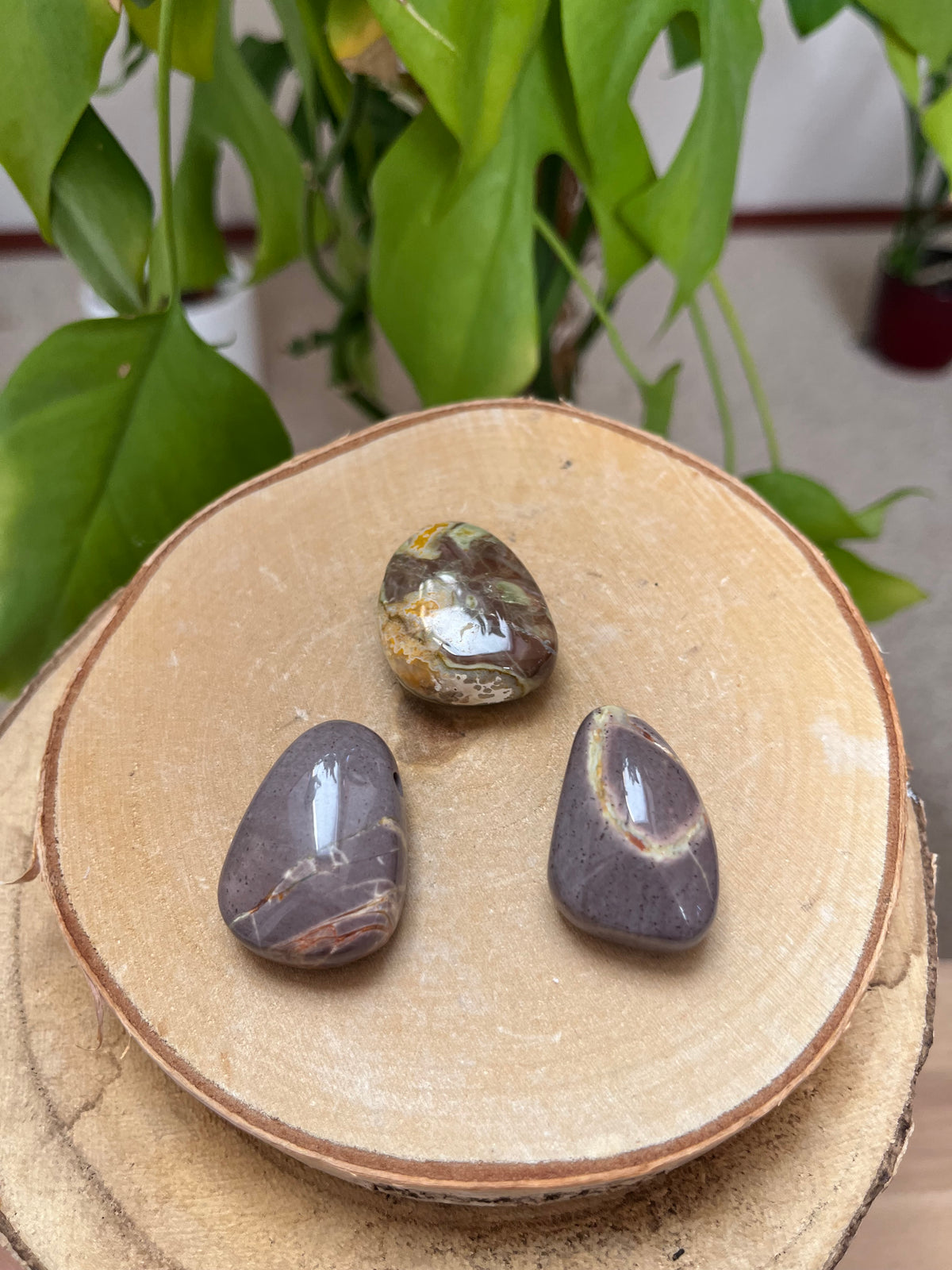 Oregon Opal Trommelstein gebohrt