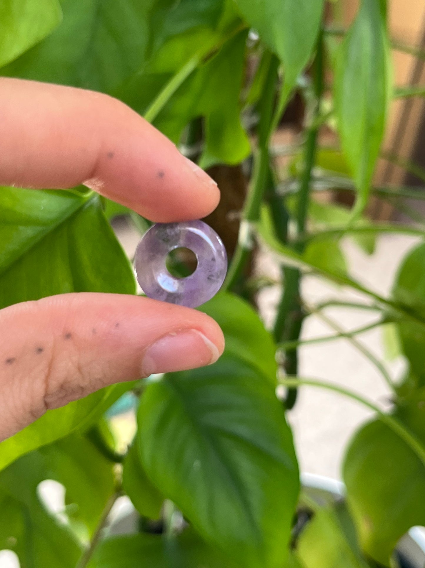 Amethyst Donut Mini