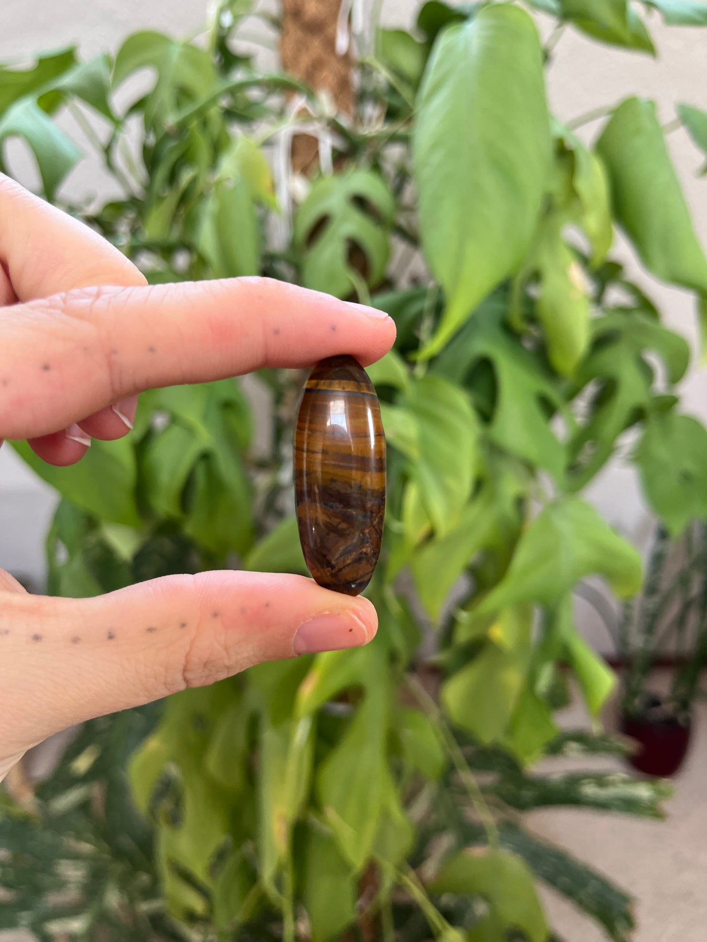 Tigerauge gebohrt Olivenform – Edelstein Anhänger Schutz & Stärke Naturstein