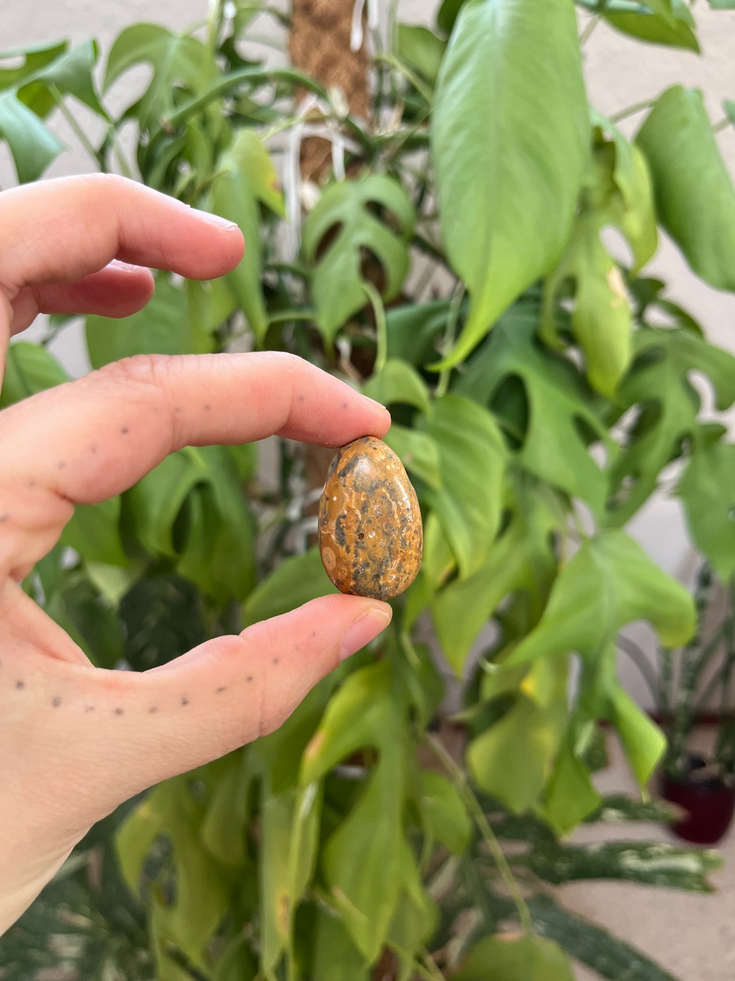 Leoparden Jaspis gelb Trommelstein gebohrt – Naturstein Anhänger Erdung & Kraft