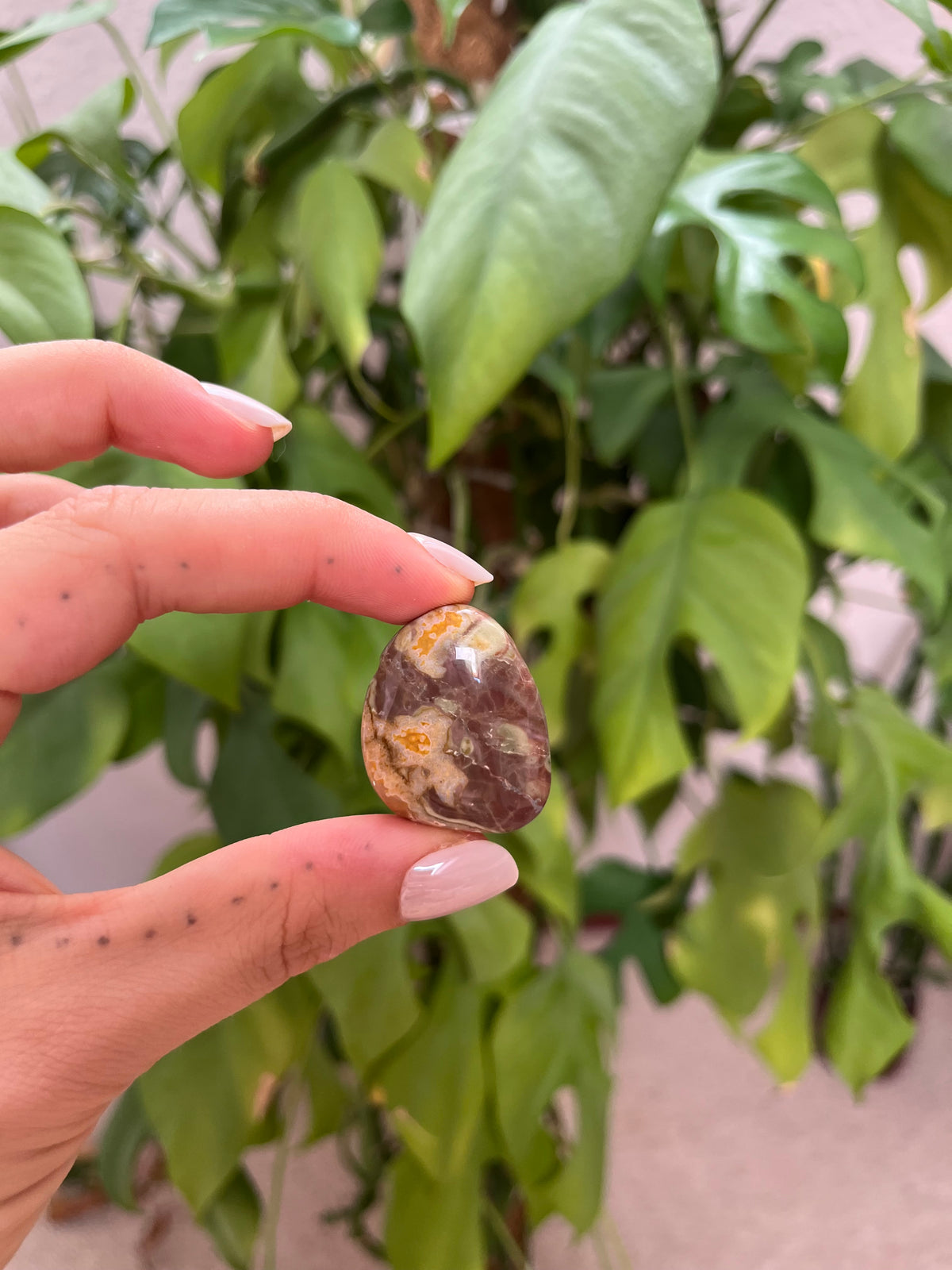 Oregon Opal Trommelstein gebohrt