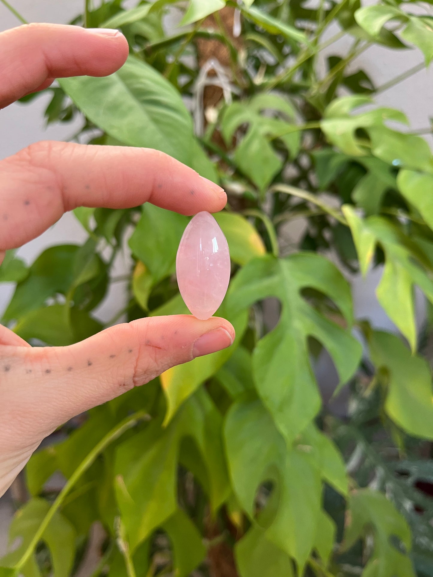 Rosenquarz Navette gebohrt – Sanftheit & Harmonie