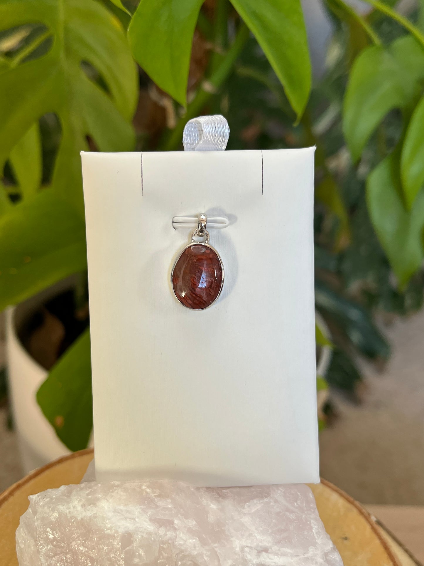 Rote Hornkoralle Kettenanhänger – 925 Sterling Silber Fassung