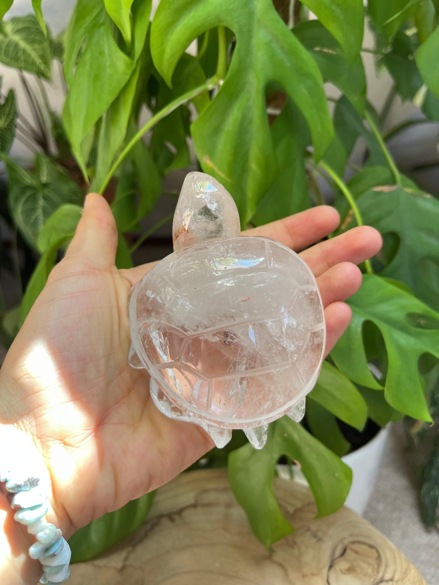 Bergkristall Schildkröte XL – Klarheit, Energie & Beständigkeit