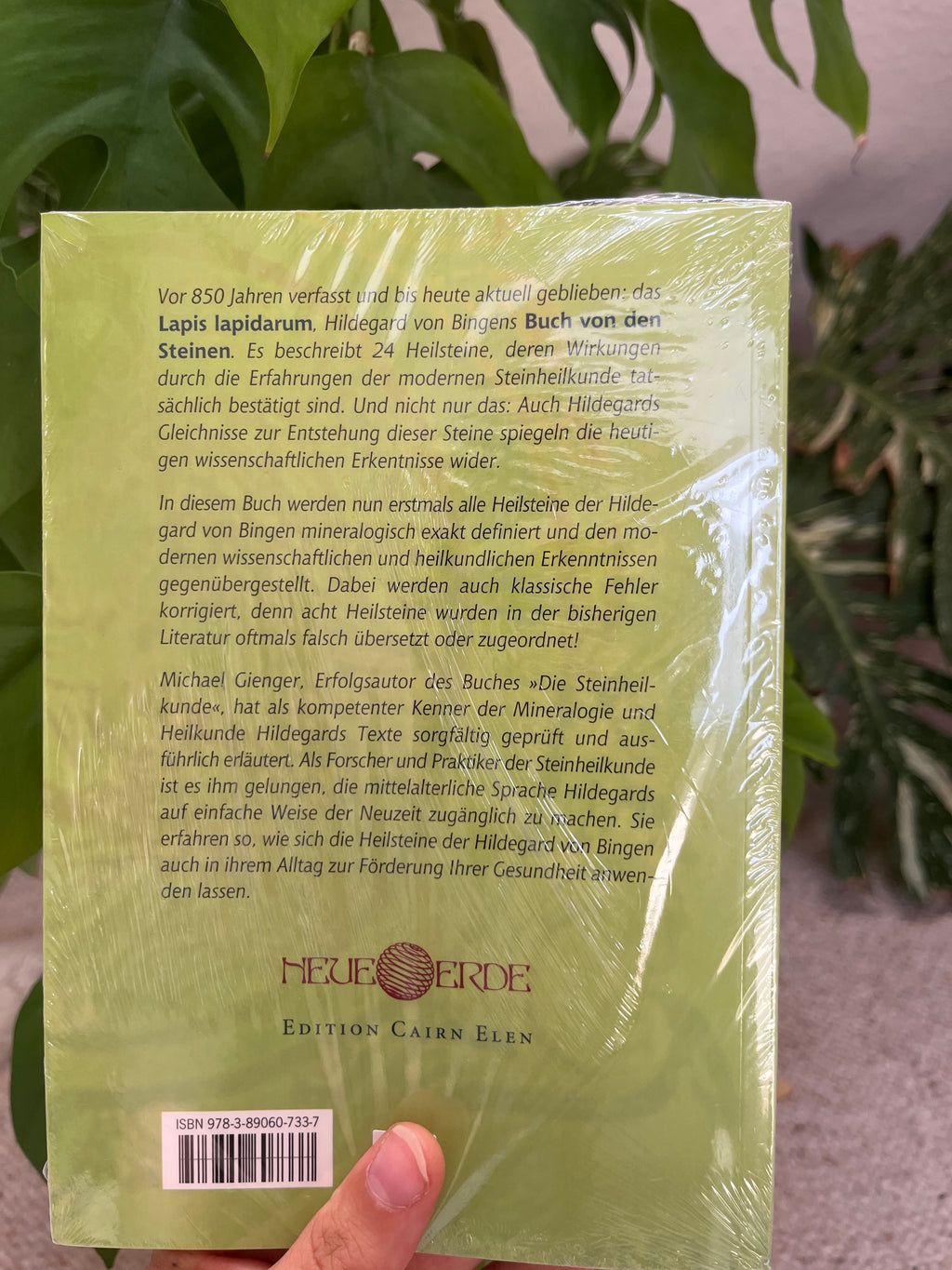 Die Heilsteine der Hildegard von Bingen – Michael Gienger | Paperback (144 Seiten)