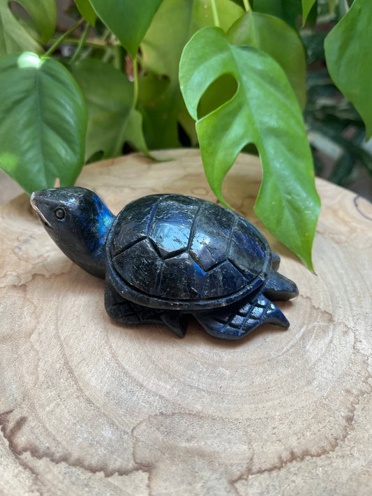 Labradorit Schildkröte XL
