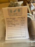 Sternchen Live Sale 28.09.27