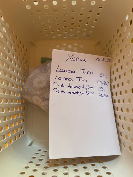 Xenia Live Sale 18.10.25