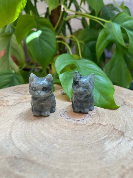 Labradorit Katzen Gravur