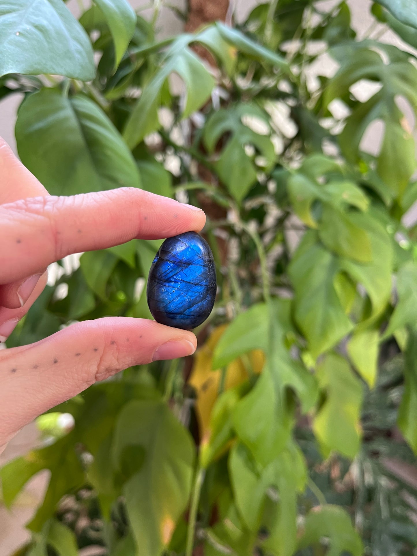 Labradorit Trommelstein gebohrt AA Qualität – Schimmer & Schutz