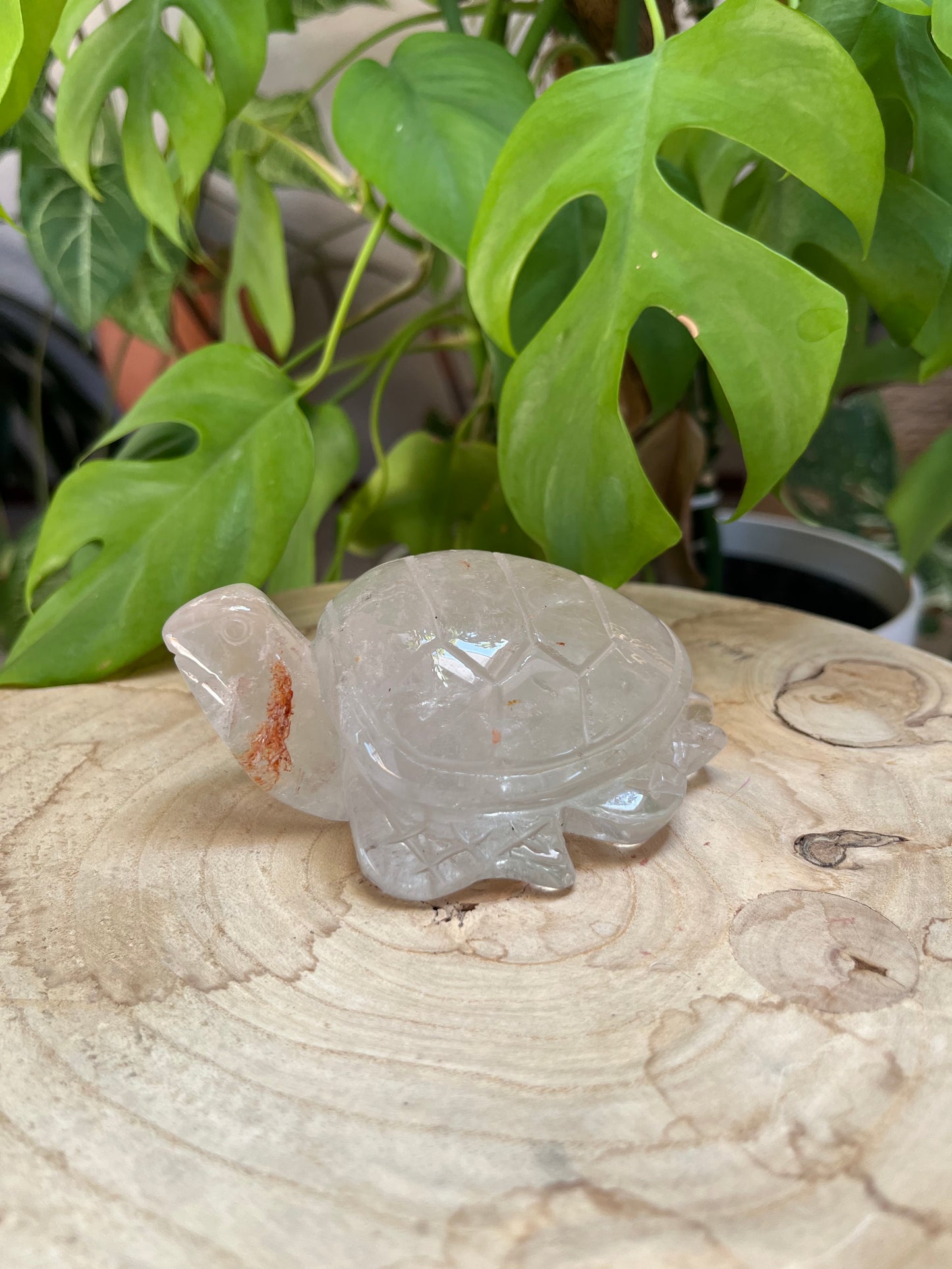 Bergkristall Schildkröte XL – Klarheit, Energie & Beständigkeit