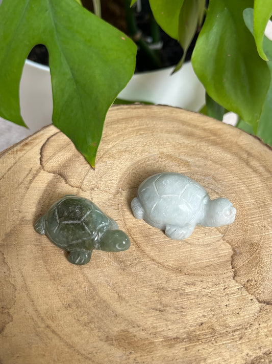 Schildkröten Gravur Jade