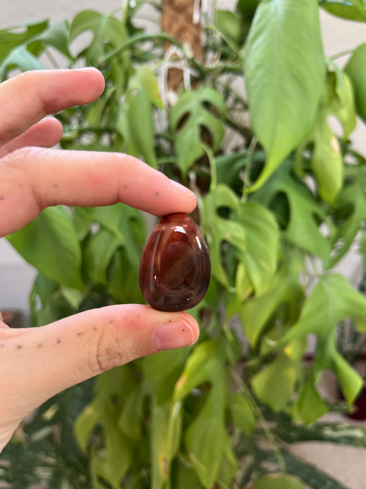 Versteinertes Holz gebohrter Trommelstein – Naturstein Anhänger Erdung & Ruhe