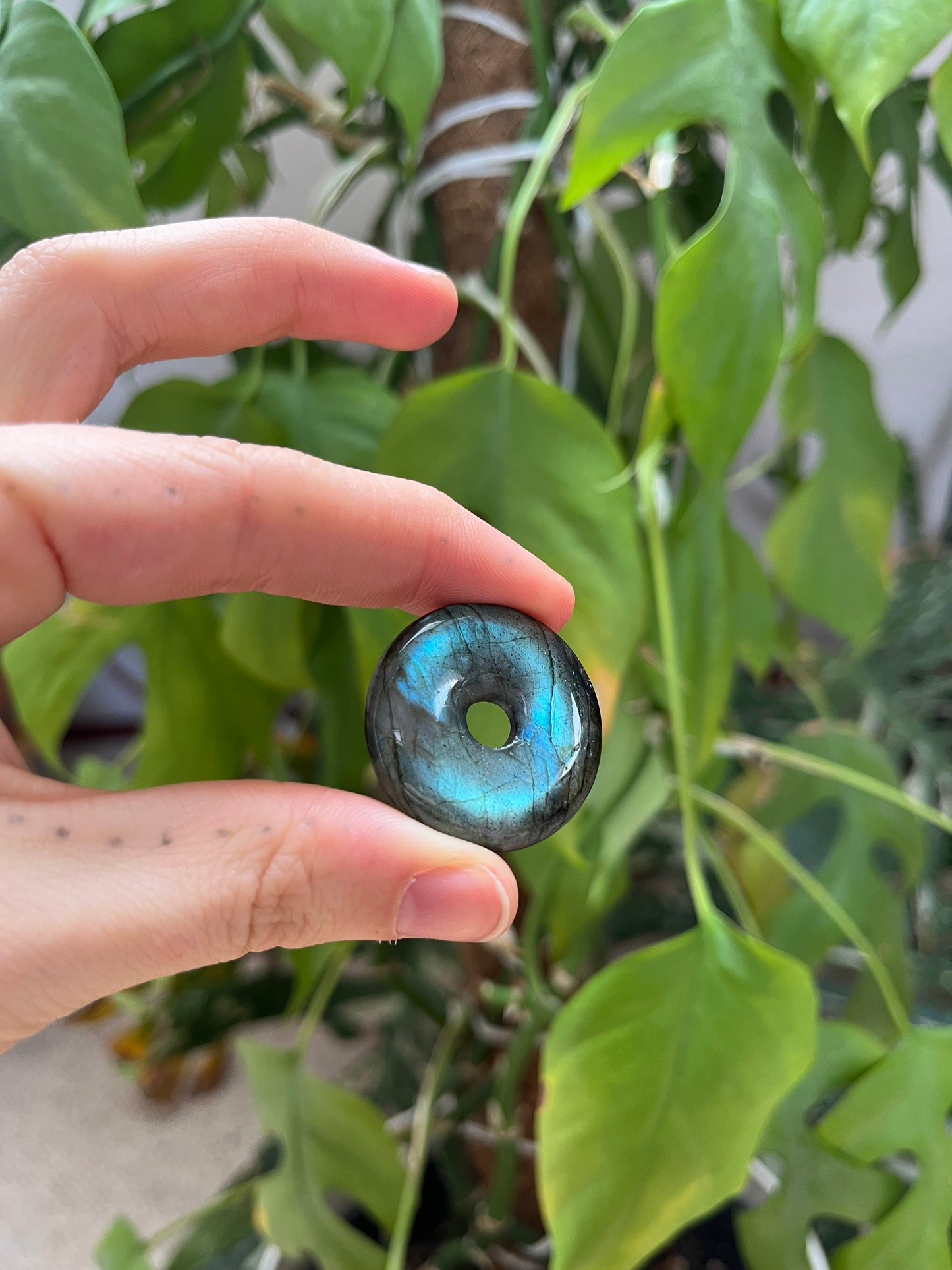 Labradorit Donut 3 cm AA Qualität – Schimmernder Edelstein Anhänger mit Farbspiel