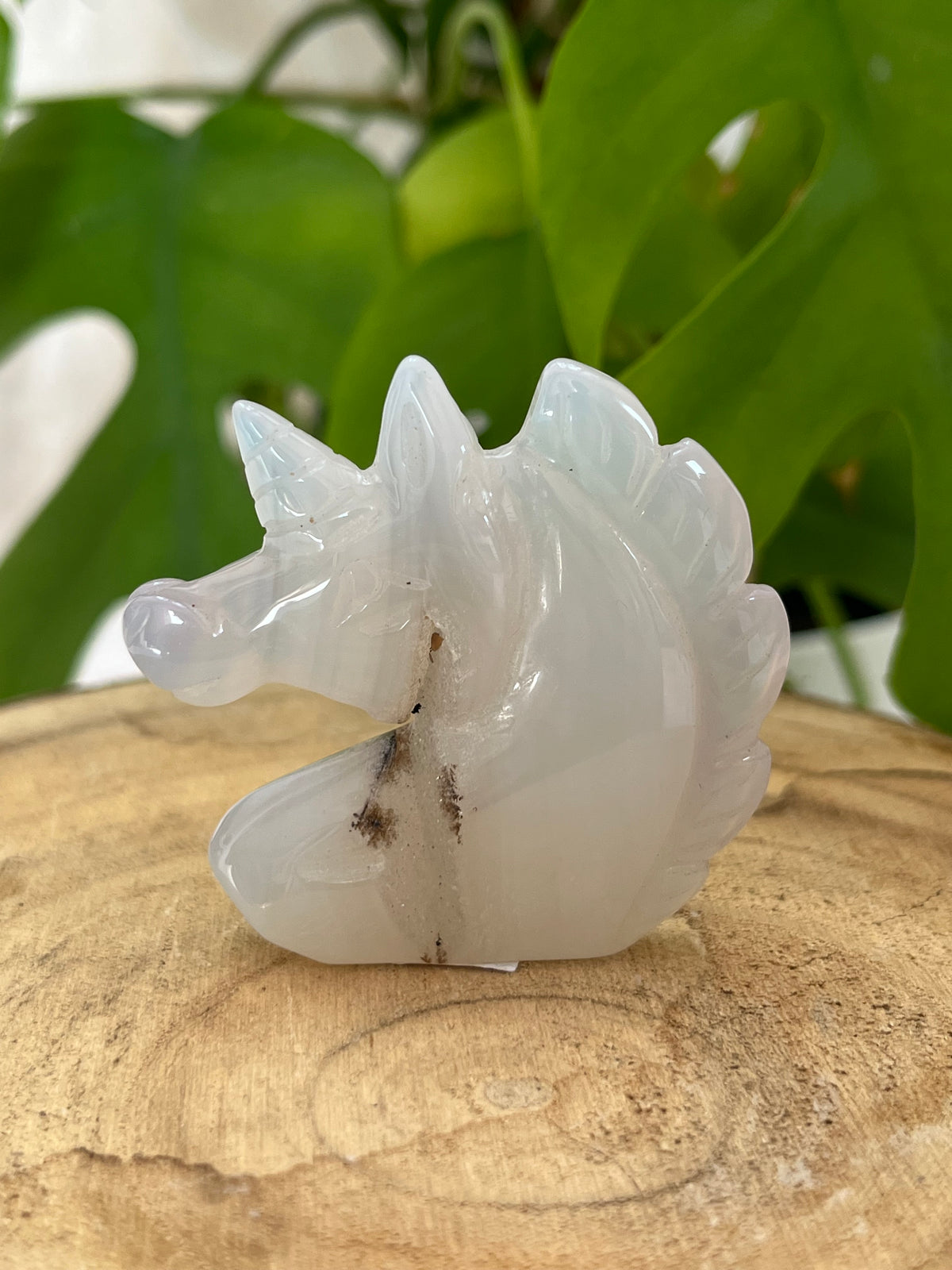 Druzy Achat Einhorn