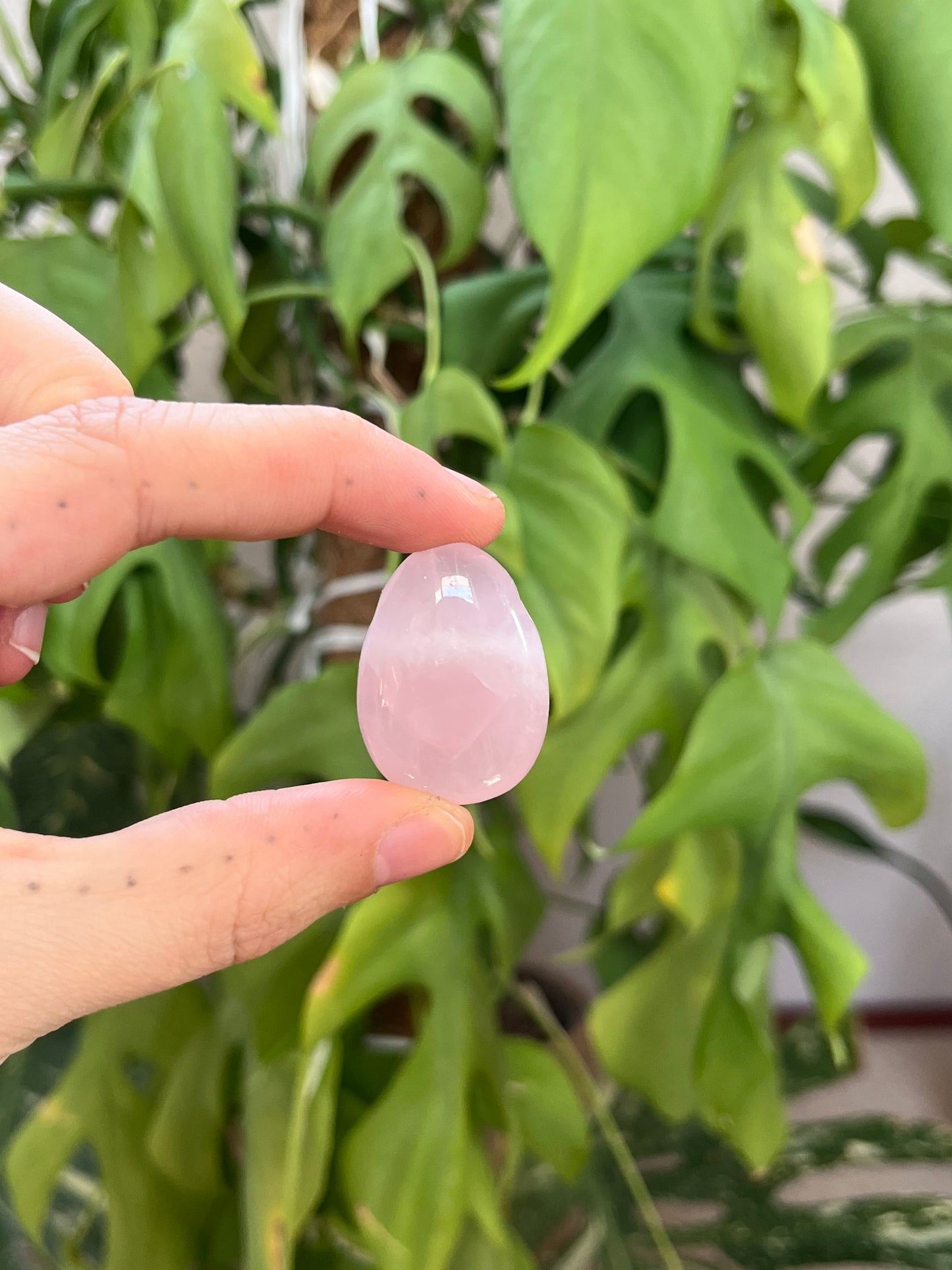 Rosenquarz Trommelstein gebohrt – Edelsteinanhänger für Liebe & Harmonie