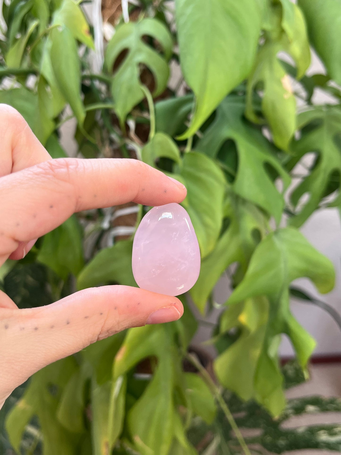 Rosenquarz Trommelstein gebohrt – Edelsteinanhänger für Liebe & Harmonie