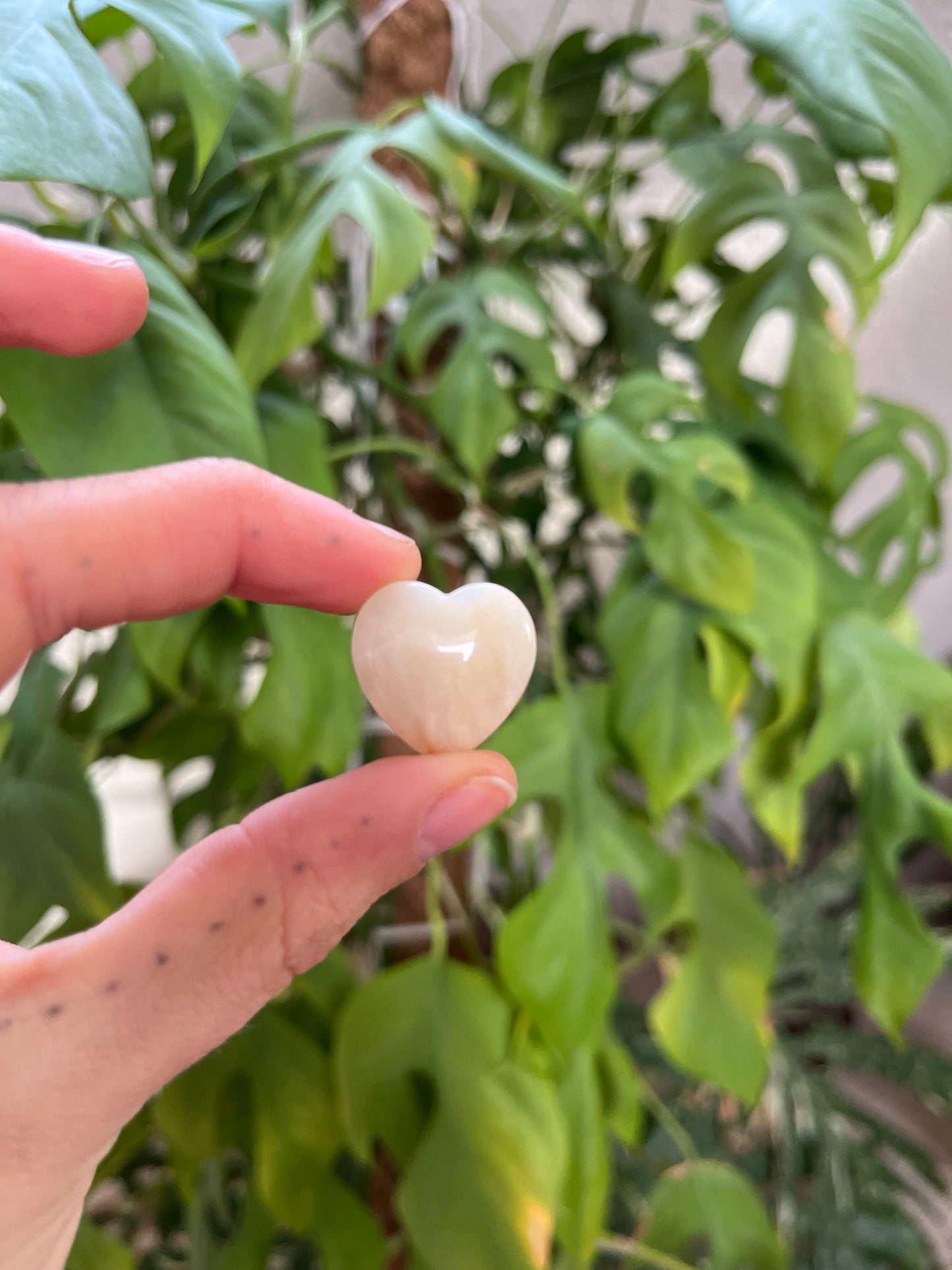 Mondstein Herz hell gebohrt AA Qualität
