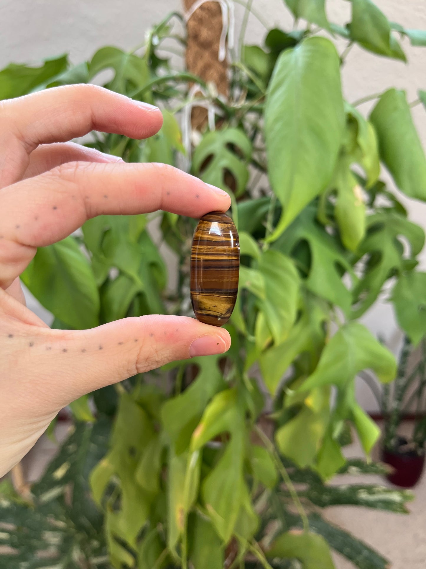 Tigerauge gebohrt Olivenform – Edelstein Anhänger Schutz & Stärke Naturstein