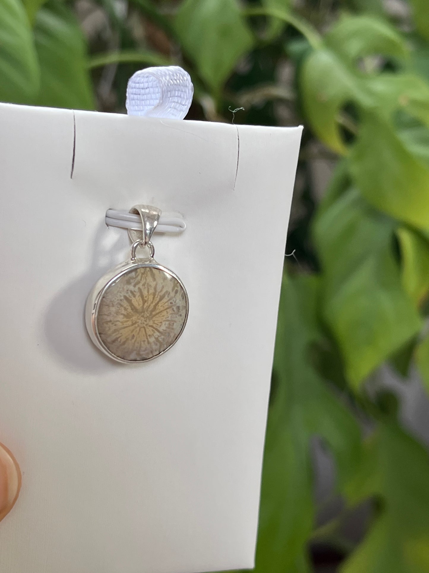 Versteinerte Koralle Anhänger rund gefasst 925 Silber – Fossiler Naturstein Schmuck