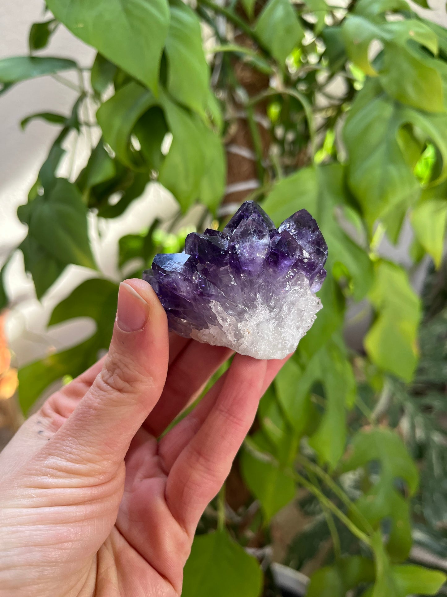 Amethyst Rohstein AAA Qualität – intensiv & naturbelassen