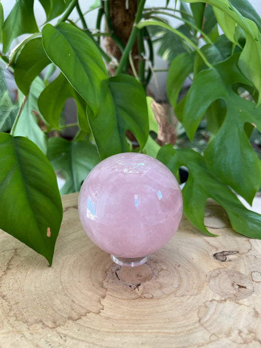 Rosenquarz Kugel 6 cm – Edelstein für Liebe & Harmonie
