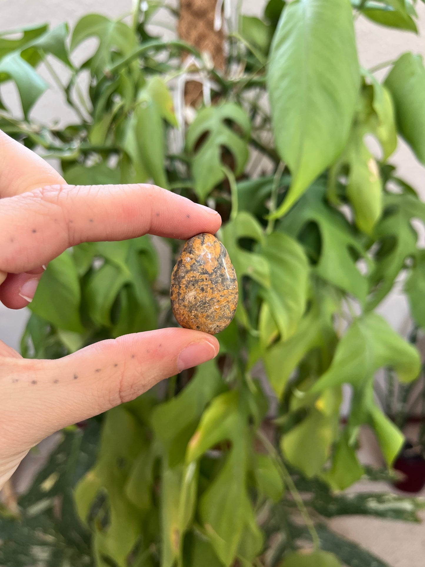 Leoparden Jaspis gelb Trommelstein gebohrt – Naturstein Anhänger Erdung & Kraft