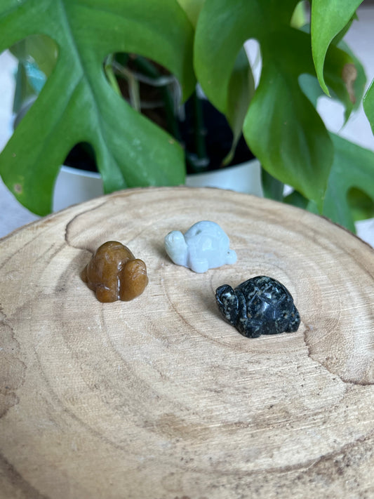 Schildkröten Gravur mini