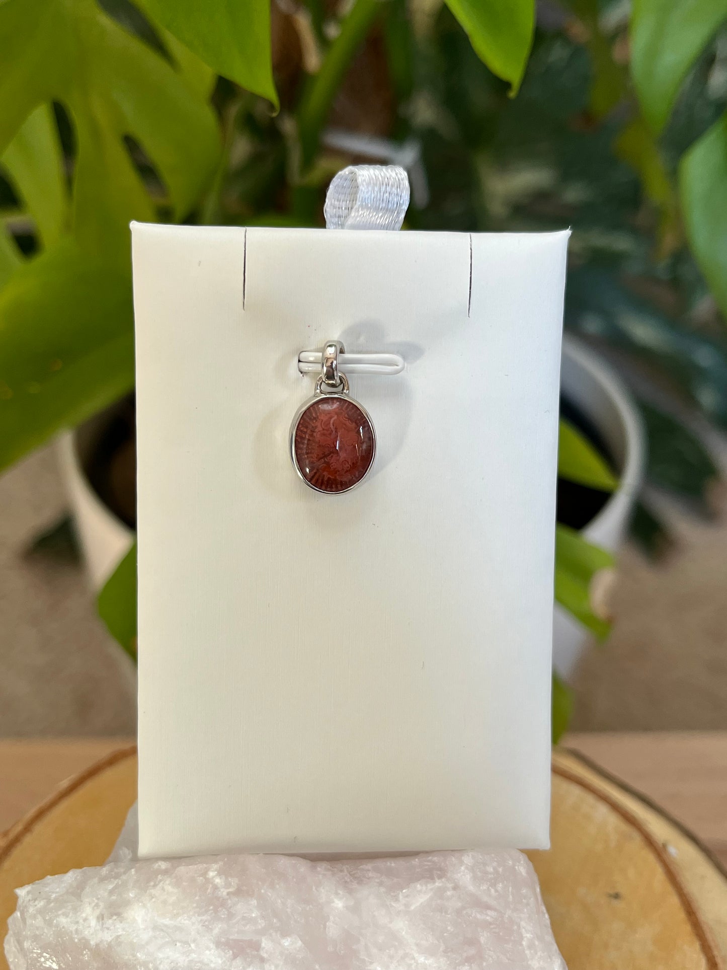 Rote Hornkoralle Kettenanhänger – 925 Sterling Silber Fassung