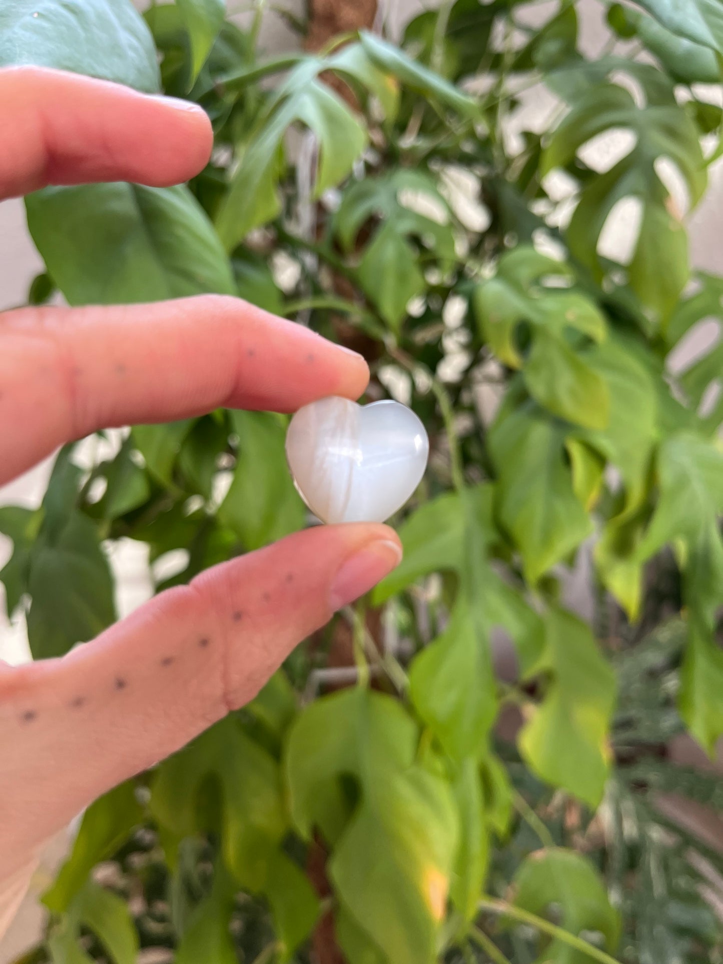 Mondstein Herz hell gebohrt AA Qualität