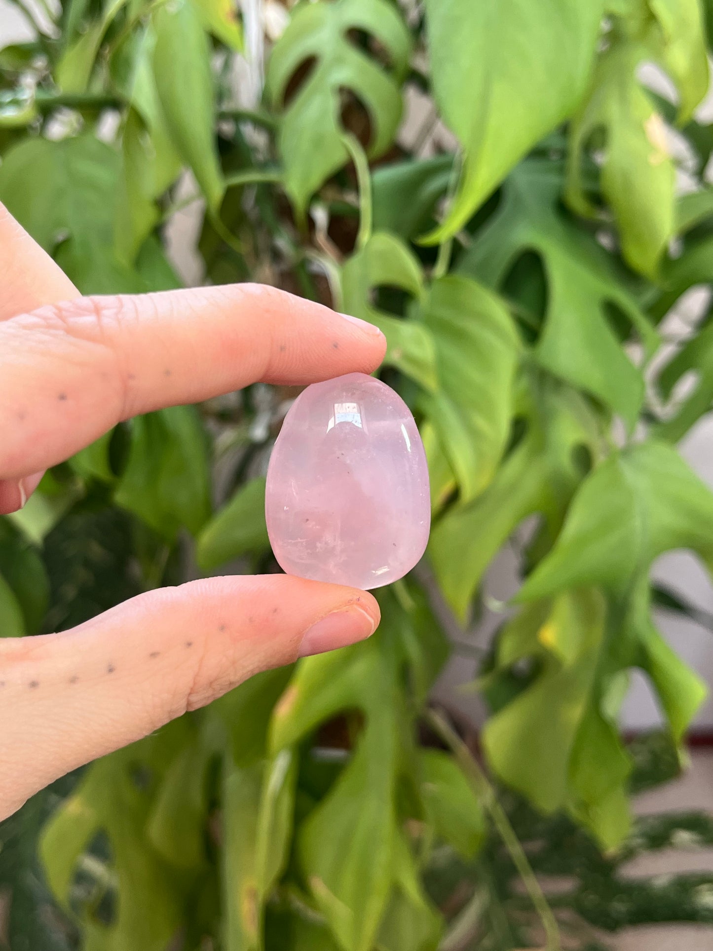 Rosenquarz Trommelstein gebohrt – Edelsteinanhänger für Liebe & Harmonie