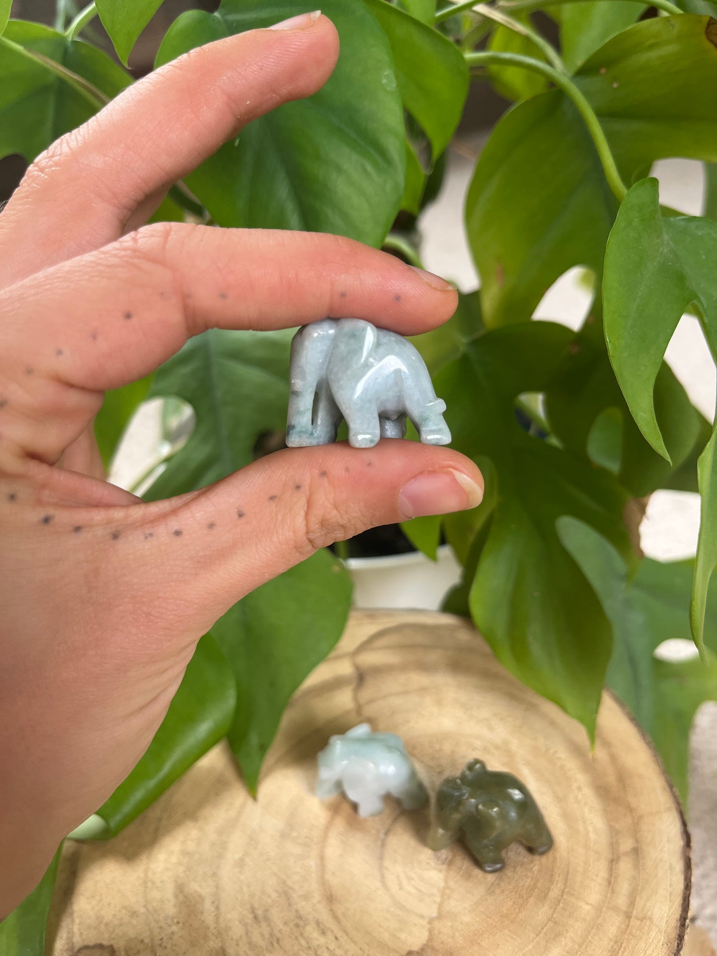 Jade Elefanten Mini