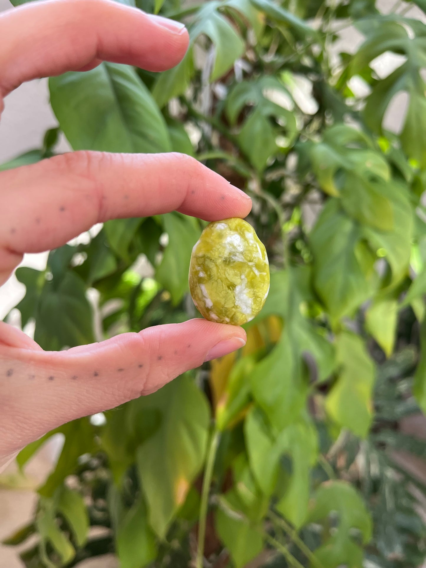 Lizardit Trommelstein gebohrt – Ruhe & Erdung