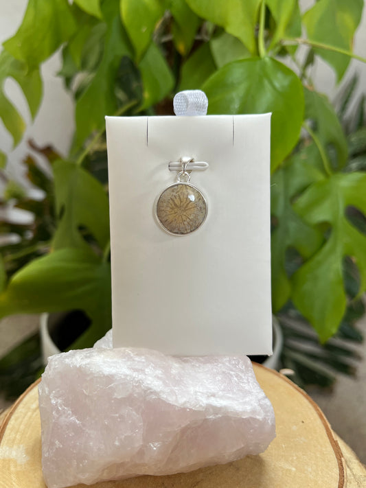 Versteinerte Koralle Anhänger rund gefasst 925 Silber – Fossiler Naturstein Schmuck