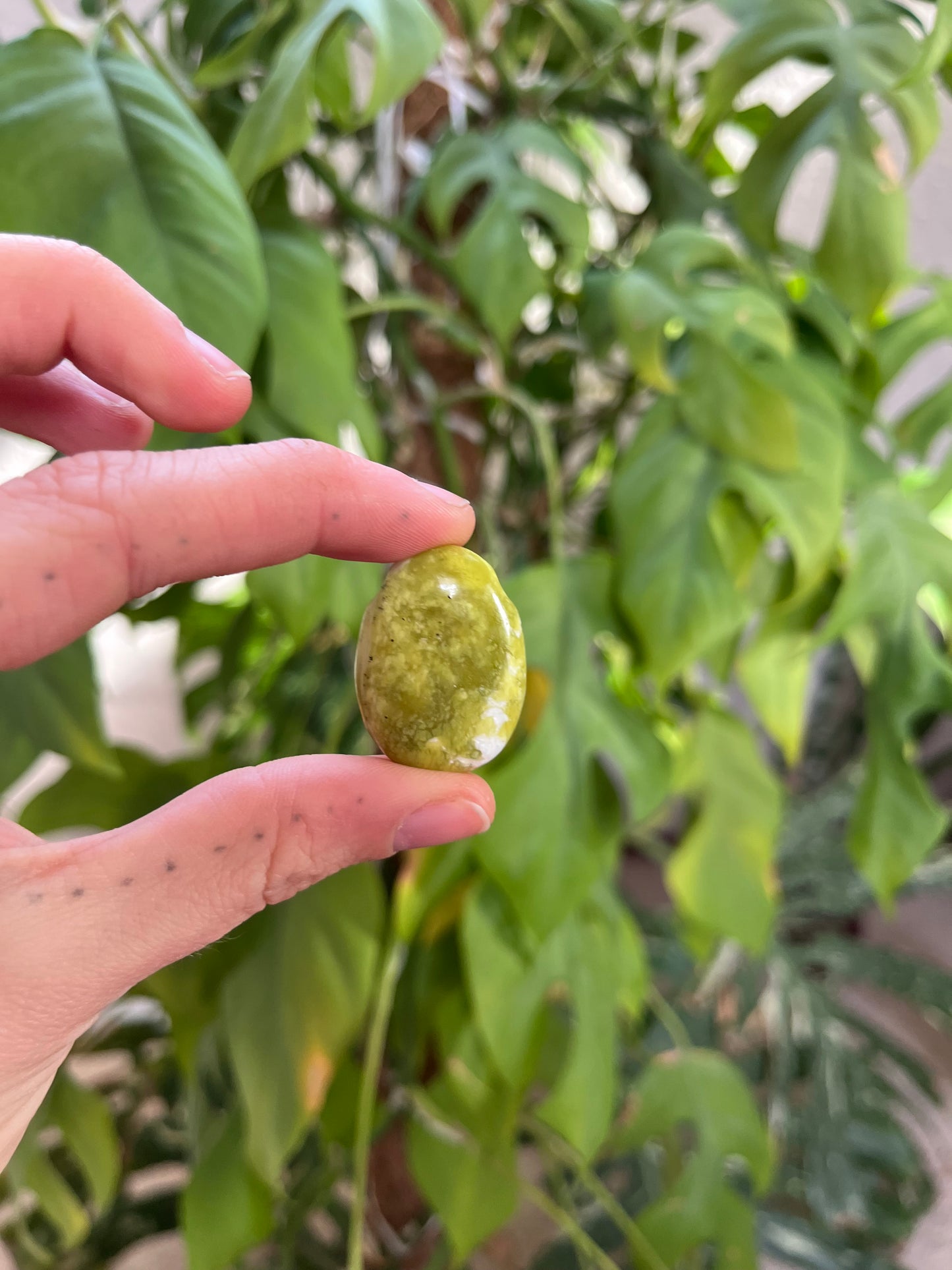 Lizardit Trommelstein gebohrt – Ruhe & Erdung