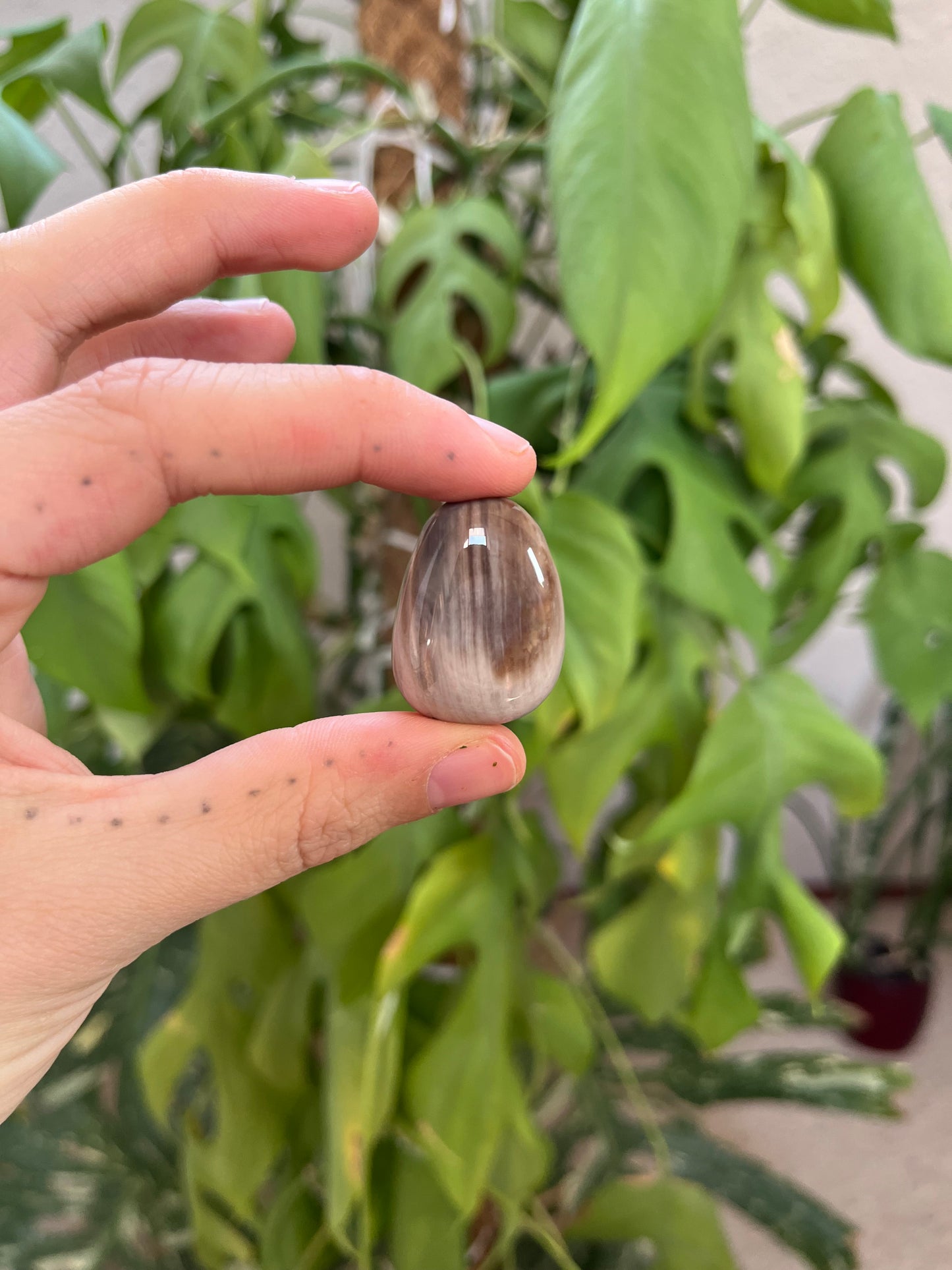 Versteinertes Holz gebohrter Trommelstein – Naturstein Anhänger Erdung & Ruhe